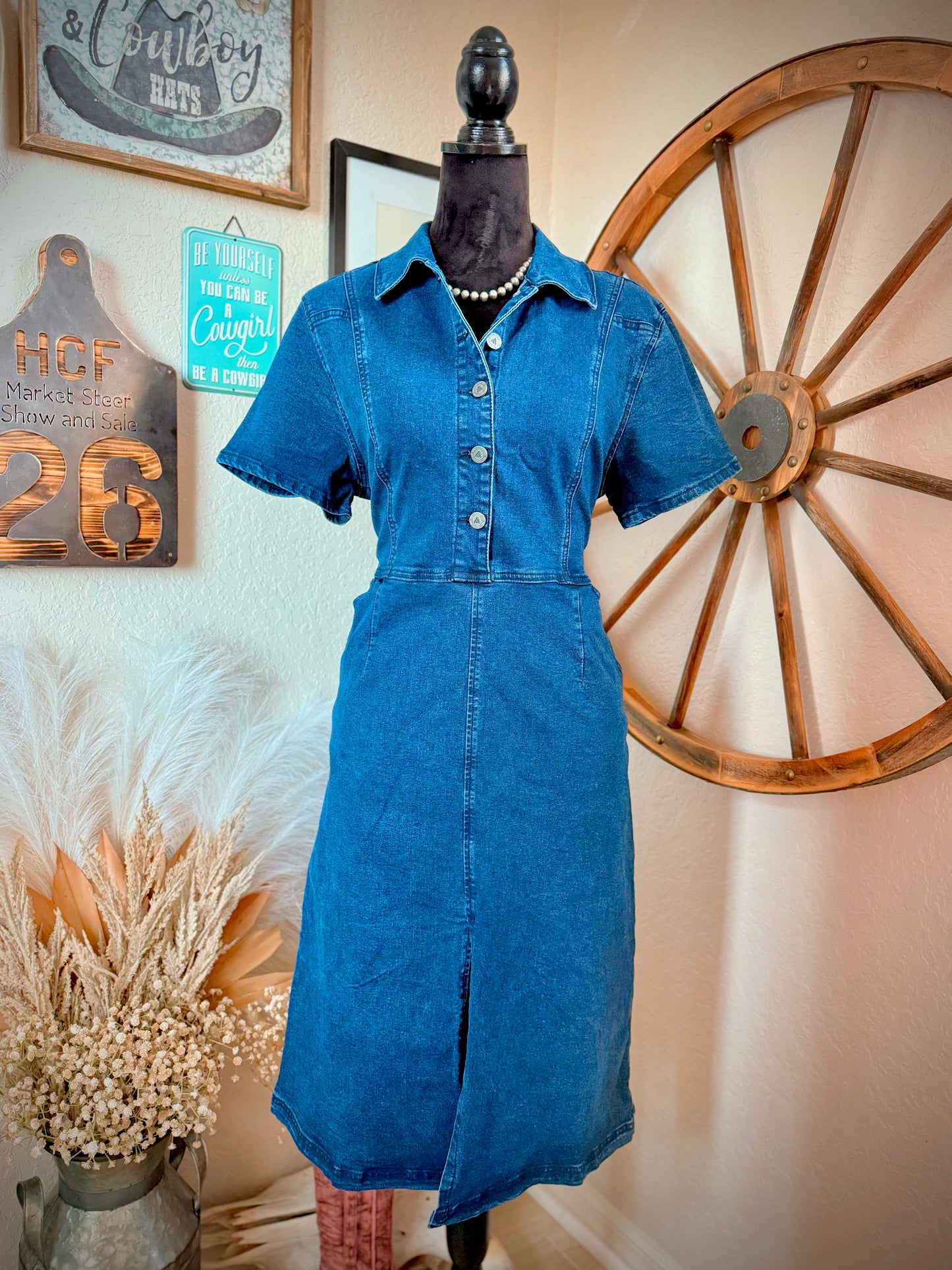 The Denim Moment Dress