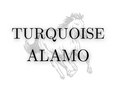 Turquoise Alamo Boutique logo