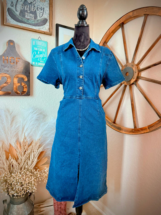 The Denim Moment Dress